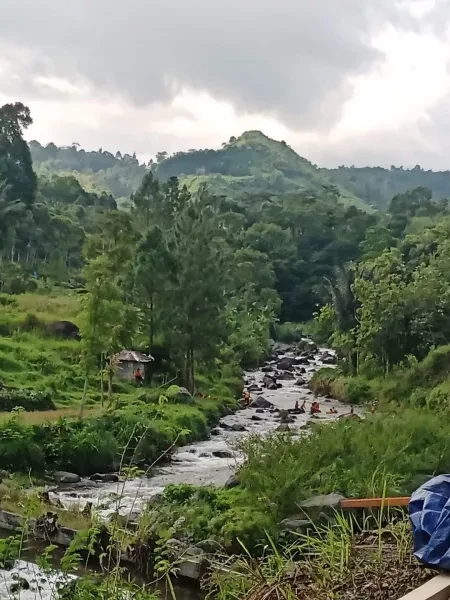 Tanah bagus langka view sungai pegunungan bumijawa guci tegal jateng-4