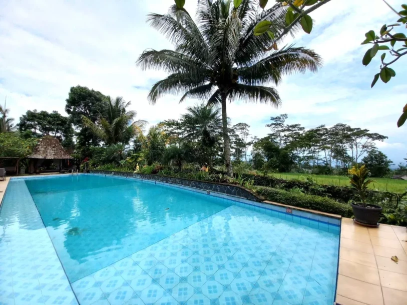 Dijual, Villa dan Resto Dengan Desain Tradisional Jawa View Sawah-5