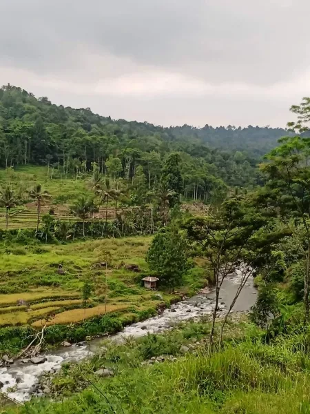 Tanah bagus langka view sungai pegunungan bumijawa guci tegal jateng-3