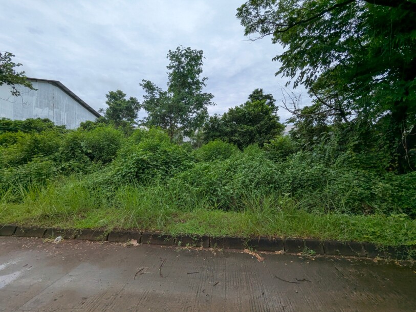 Tanah Dijual di Pergudangan Patangloe-3