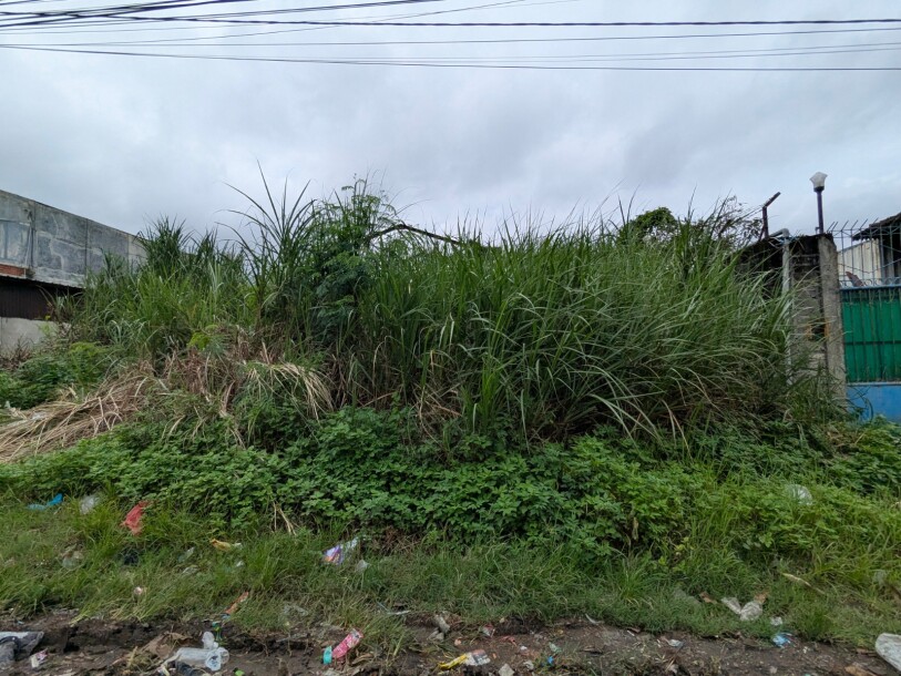 TANAH PERGUDANGAN MURAH VIEW KOTA SEMARANG-1